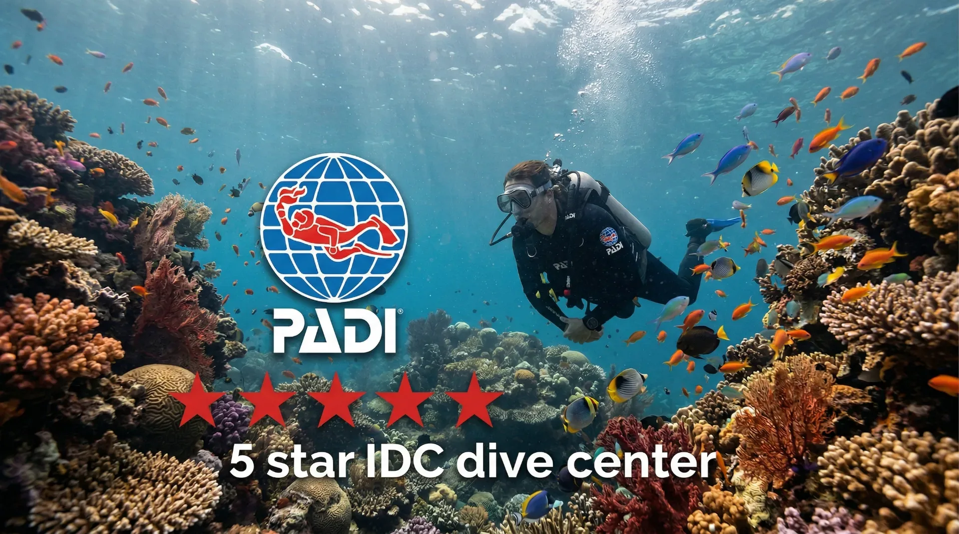 PADI Open Water Course on Koh Tao — What to Expect