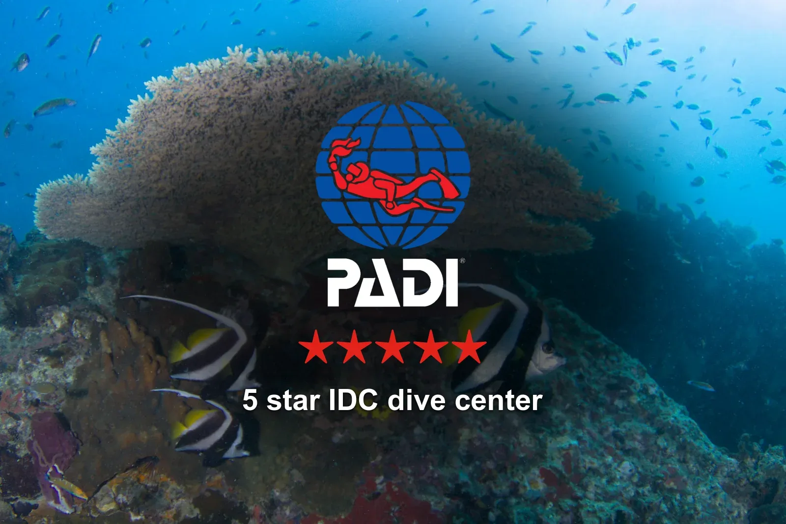 PADI Open Water Course on Koh Tao — What to Expect