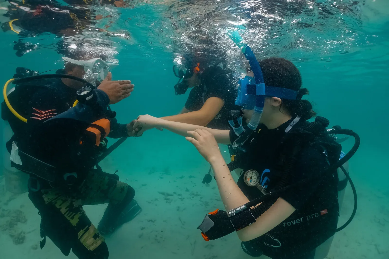 PADI Open Water Course on Koh Tao: The Complete 2026 Guide