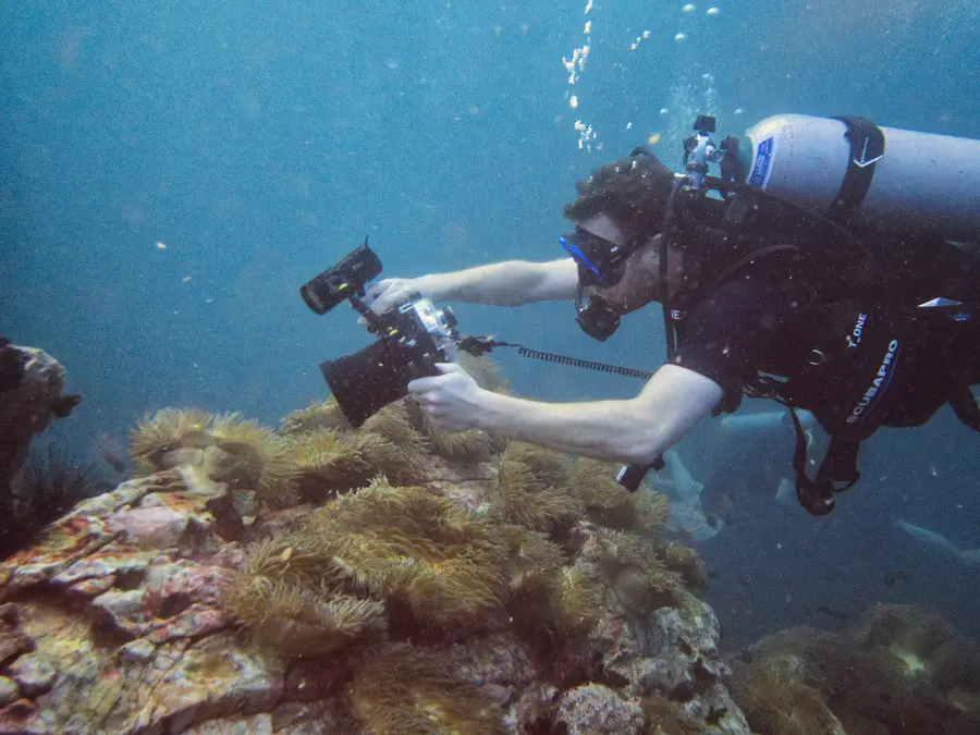 Buceador trabajando junto a un arrecife cubierto de anémonas en Koh Tao
