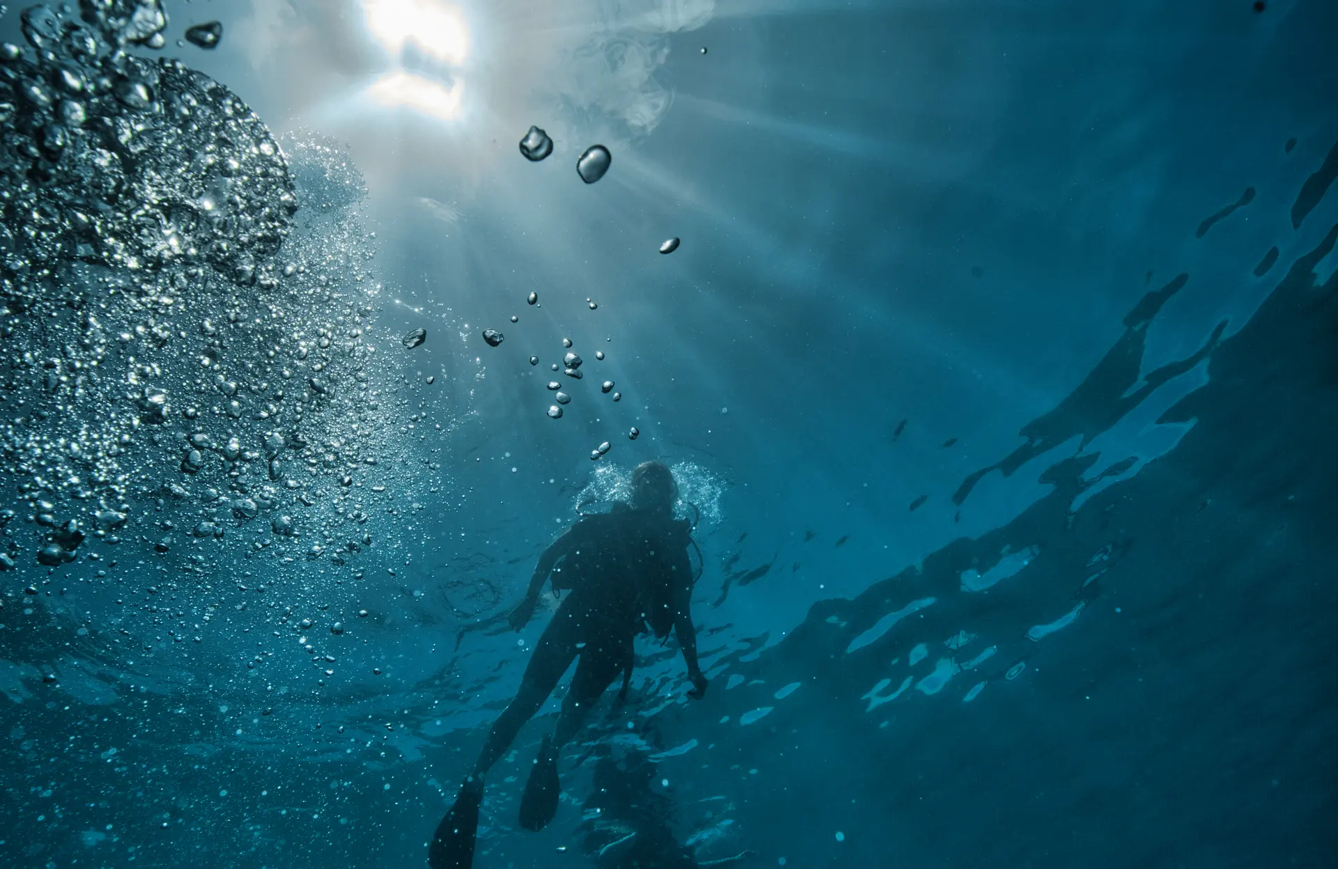 Buceadores en contraluz entre rayos de sol y burbujas ascendentes en Koh Tao