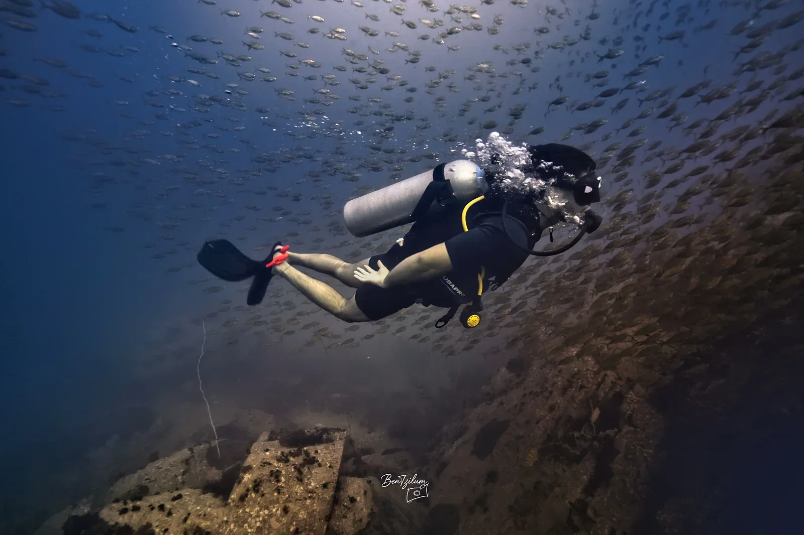 Sail Rock dive site, Koh Tao