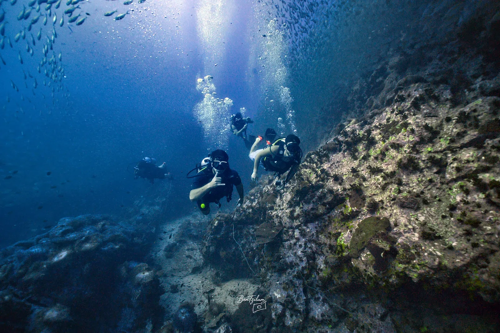 Twins dive site, Koh Tao