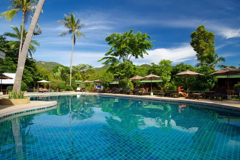 Swimming pool surrounded by palms at Siam Hotel & Hostel, Koh Tao
