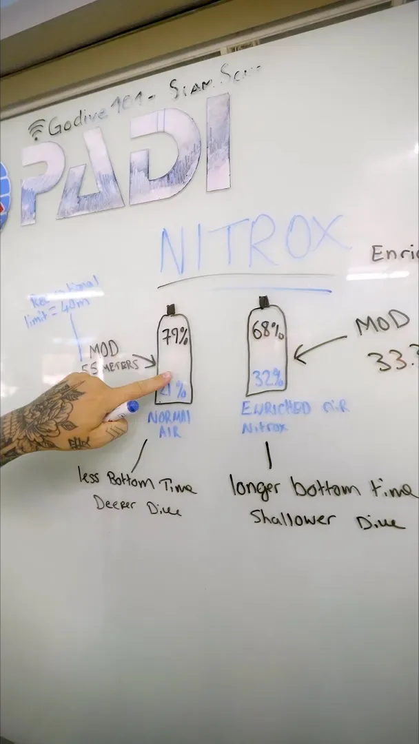 Teoría de Nitrox en la pizarra durante el IDC