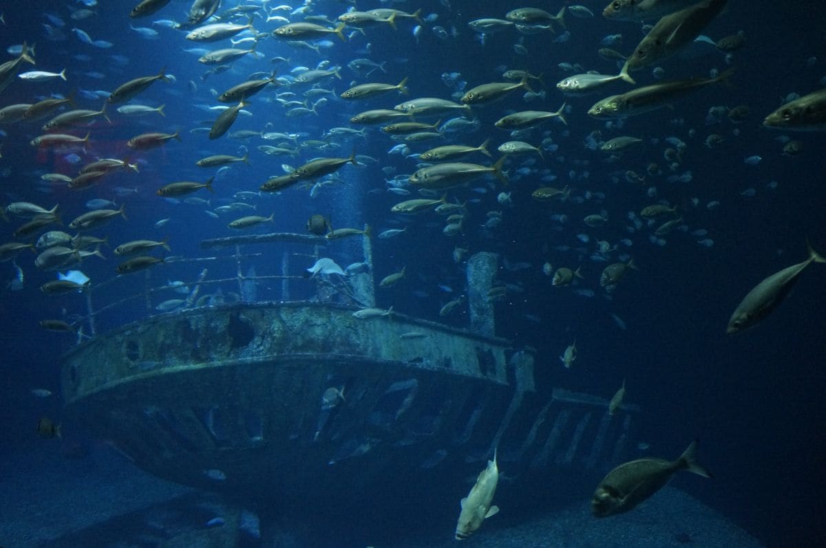 Boonsoong Wreck